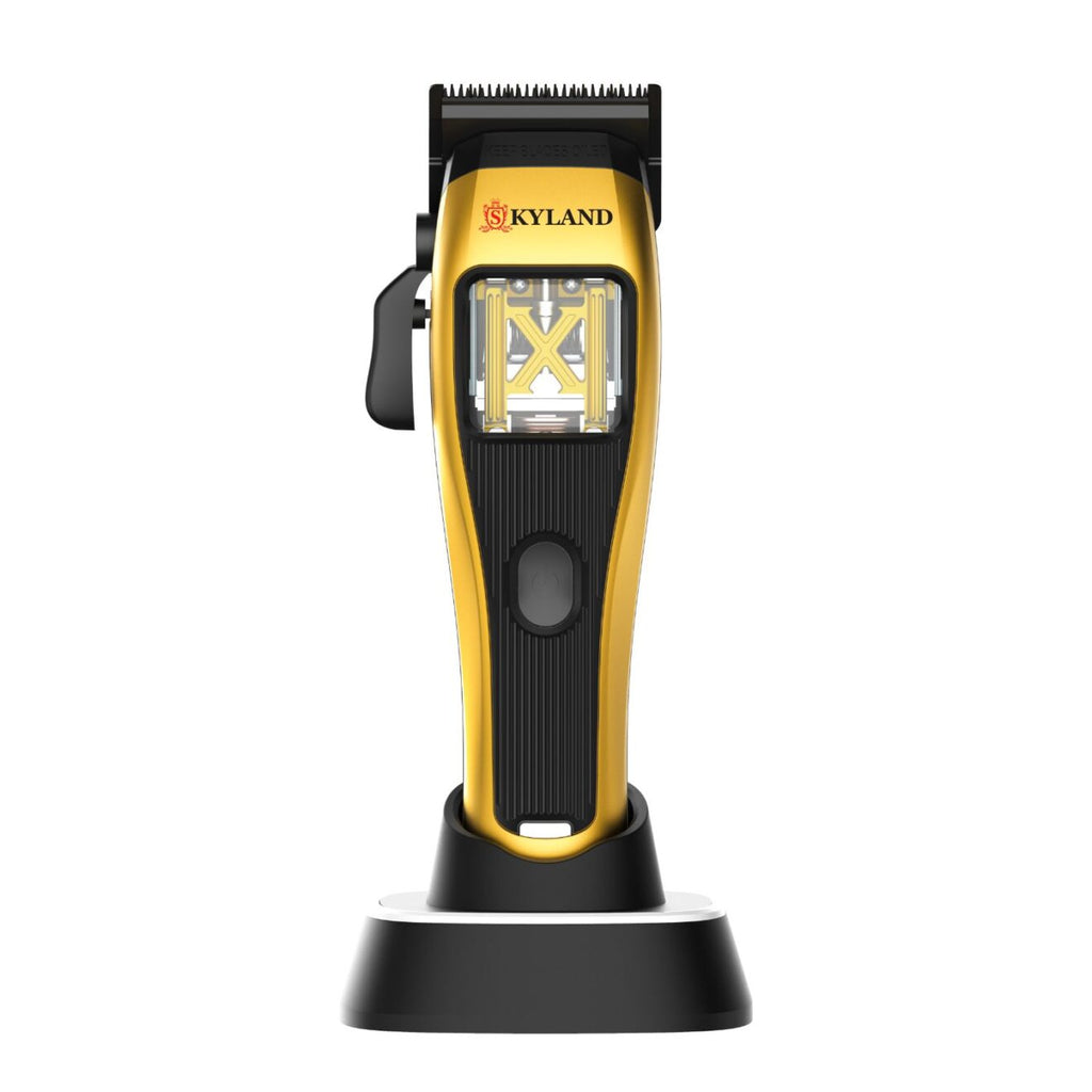 Skyland Professional tondeuse Hair Clipper